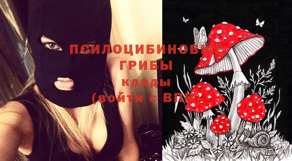 прущая мука Белоозёрский