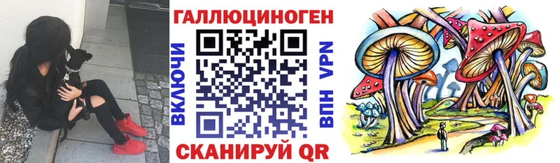 Псилоцибиновые грибы Magic Shrooms  Макаров 
